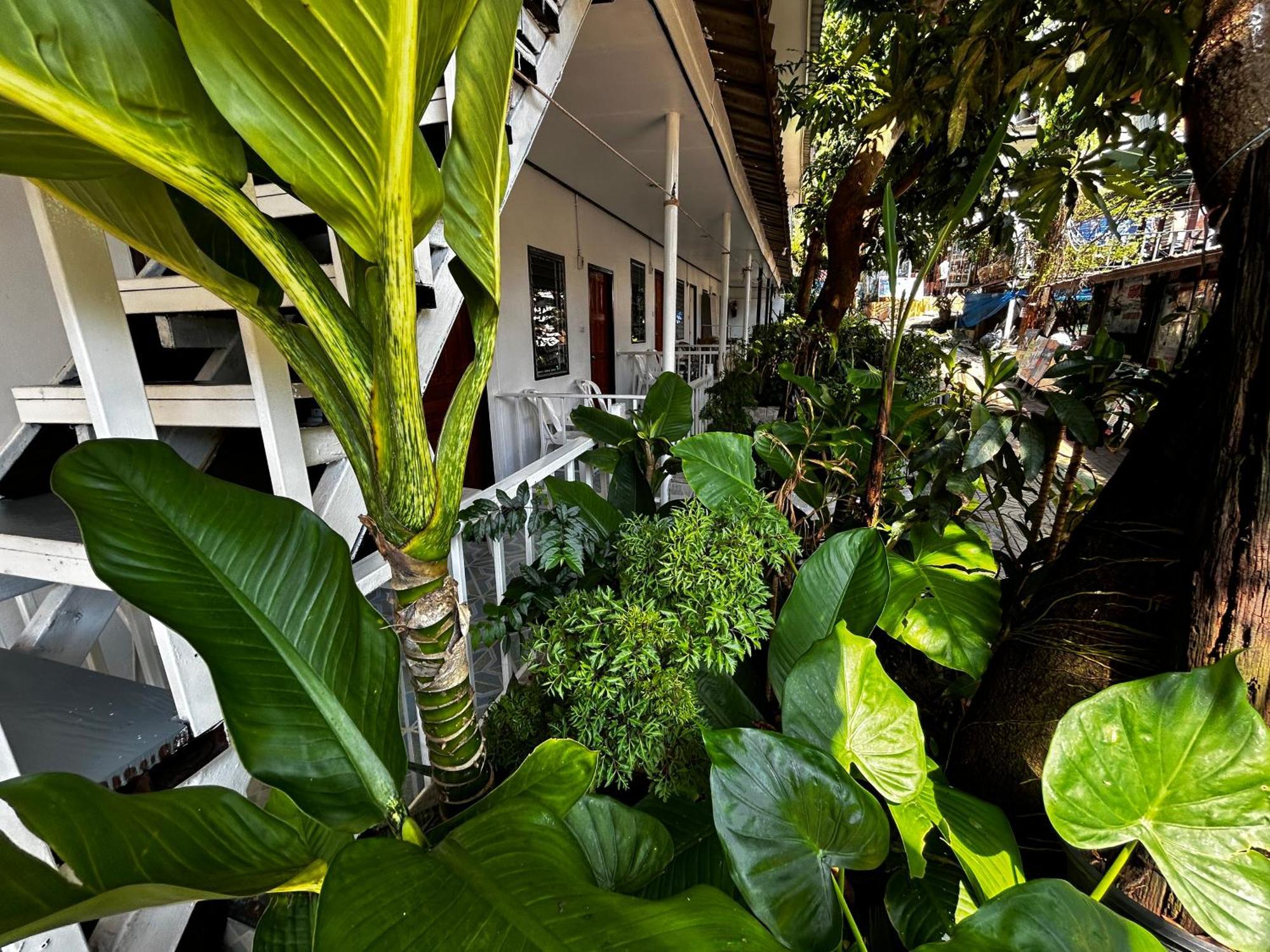 Coco'S Guest House Phi Phi Don Exterior photo